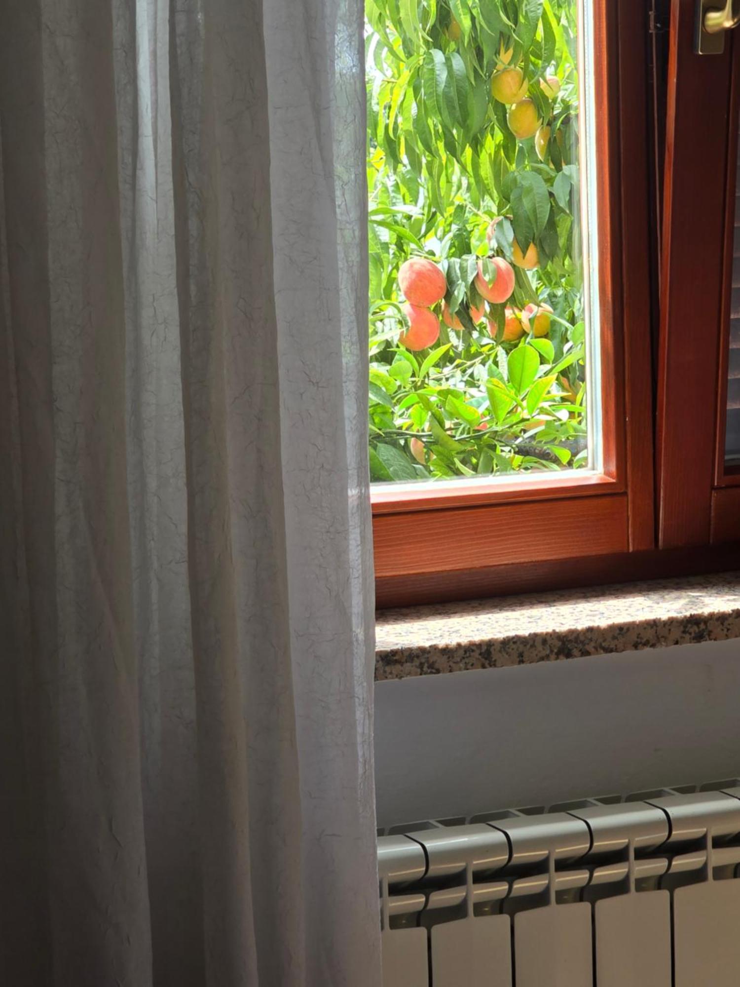 Apartman Barbara Бибинє Екстер'єр фото